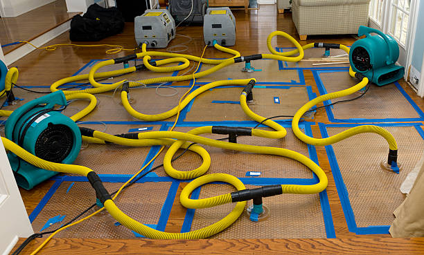 Professional Sewage Cleanup technician working in Blackstone, MA